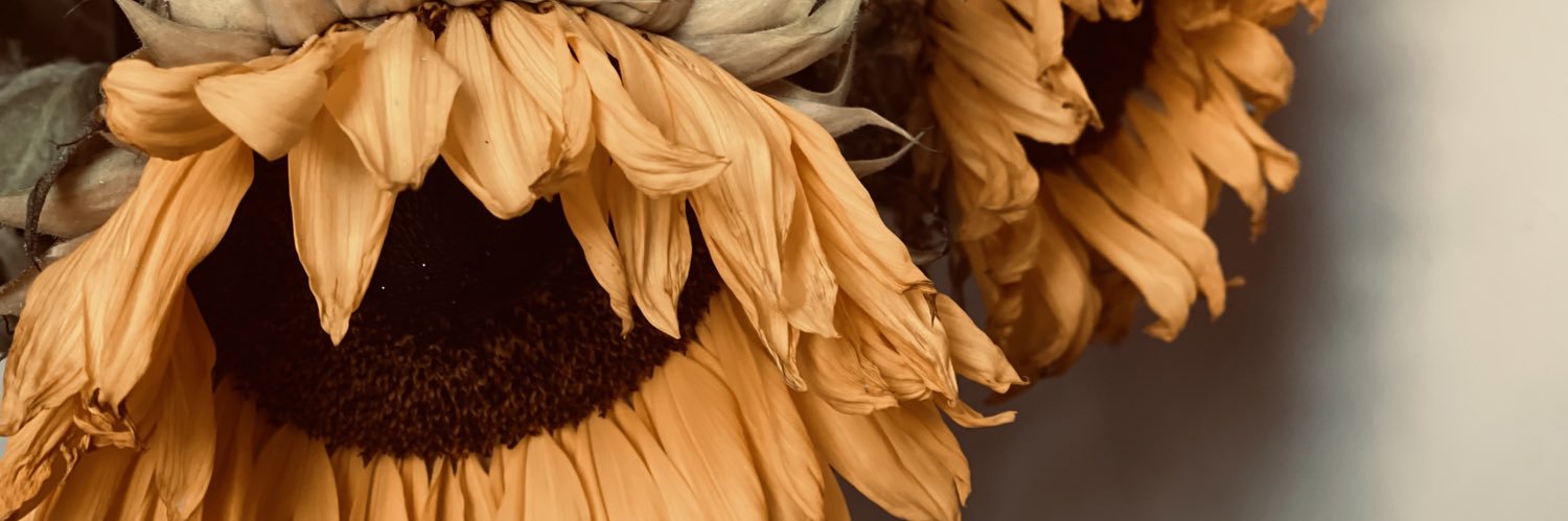 Tgomes86's profile banner image