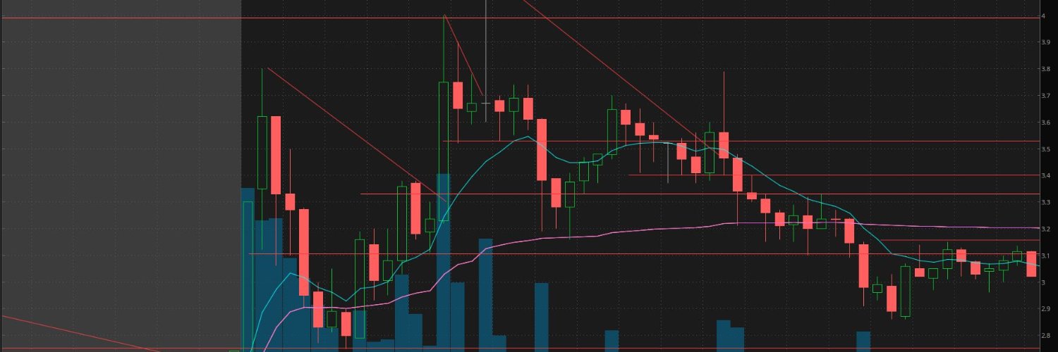 MTrader13's profile banner image