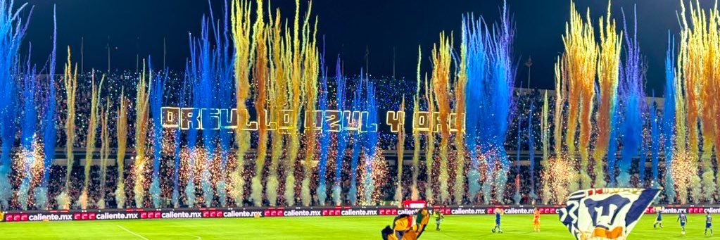 Axel Ariza banner