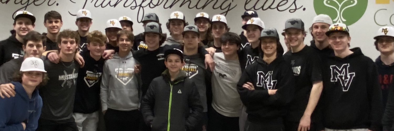 Metea Baseball banner