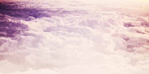 barbaralongdr's profile banner image