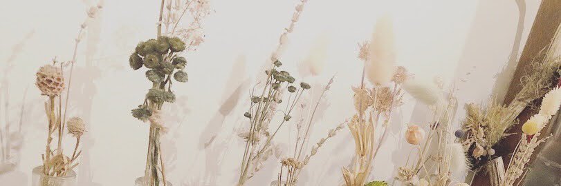hal_3x's profile banner image