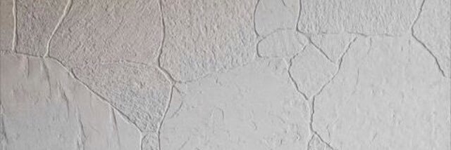shaa004's profile banner image