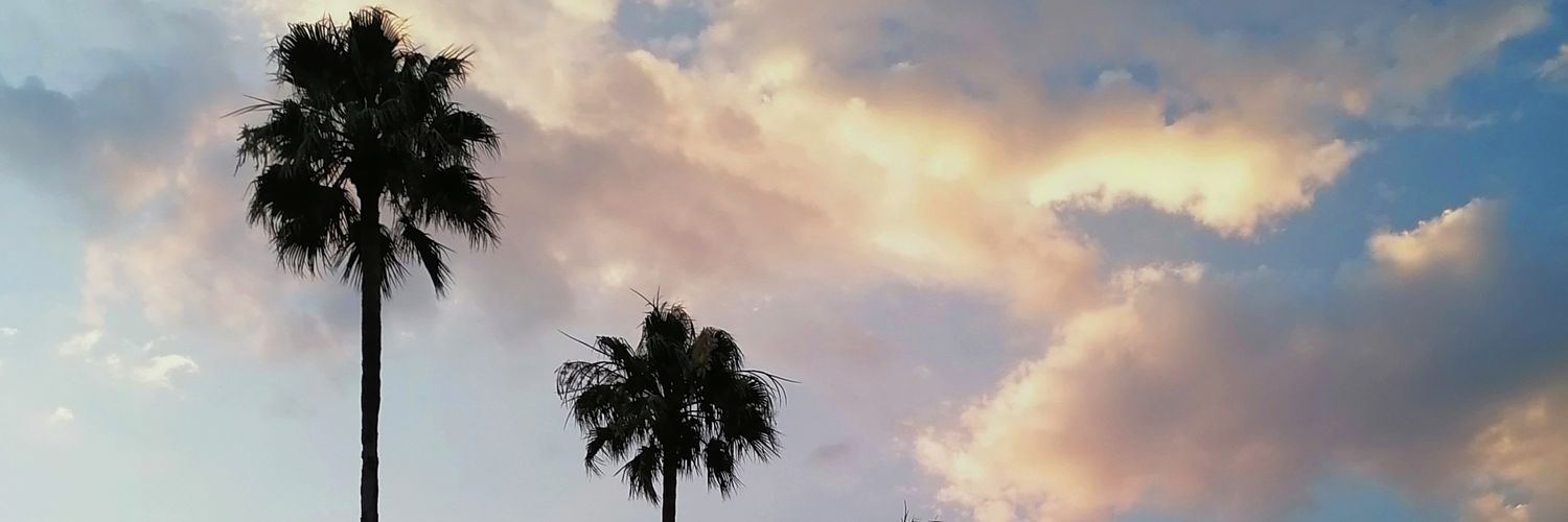 fernandanahaidi's profile banner image