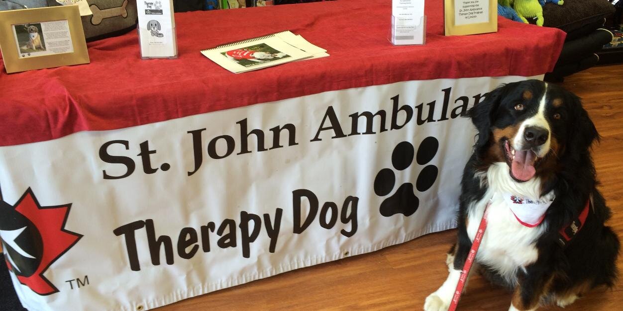 SJA TDogs Niagara banner