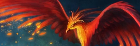 perfiltuiter's profile banner image