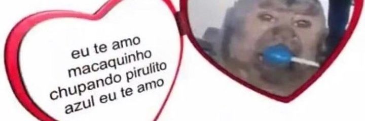 xskinginx's profile banner image