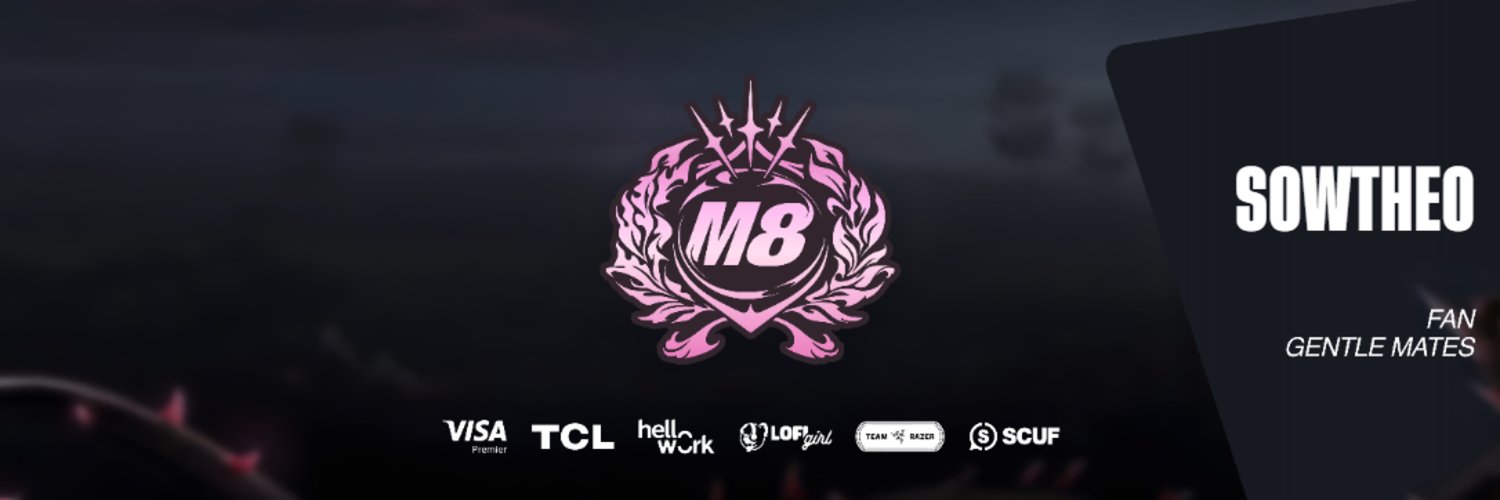 SowTheo's profile banner image