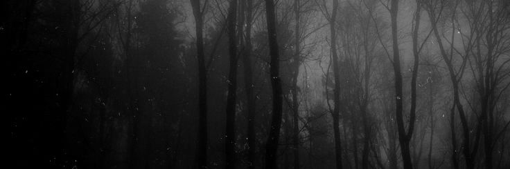 corpsellu's profile banner image