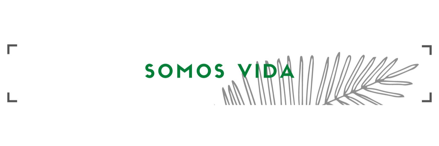 SomosVidaSur's profile banner image