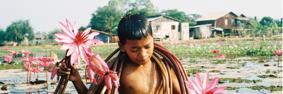 GCCambodia's profile banner image