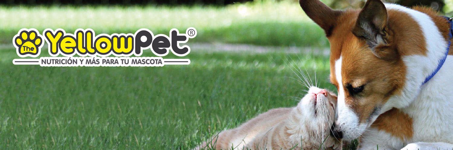 theyellowpet's profile banner image