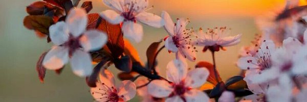 jjrproper Profile Banner