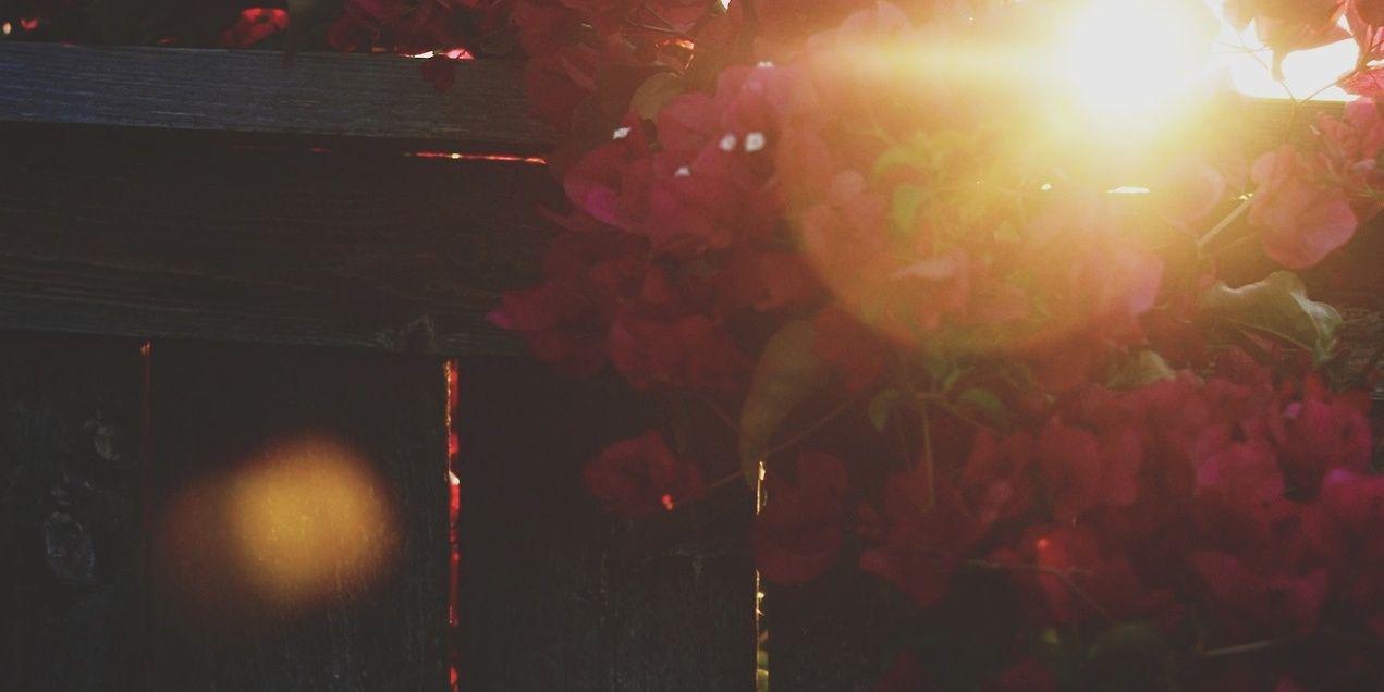babinigga's profile banner image