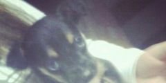 _gusjose's profile banner image