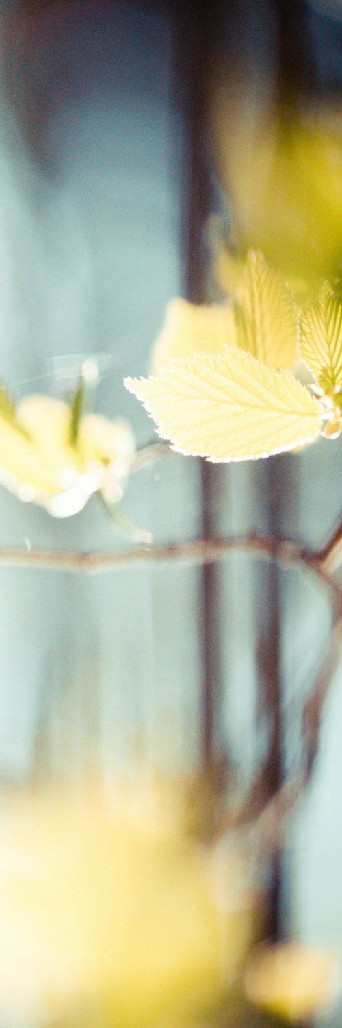 MamaryonO's profile banner image