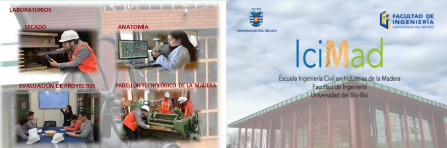 ICIMAD_UBB's profile banner image