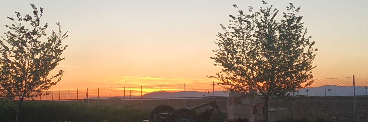Eliiii_11's profile banner image