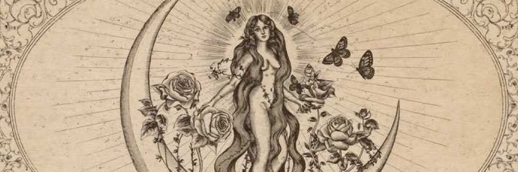 zellevae's profile banner image