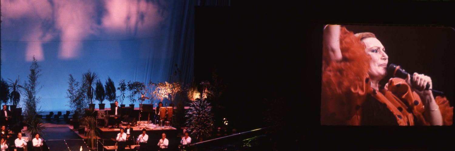 CharoSnchez2's profile banner image