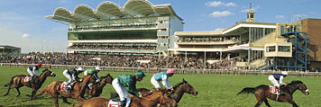 InfoFromTheStables banner