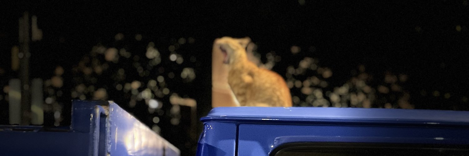 Zaihan is me/he/they banner