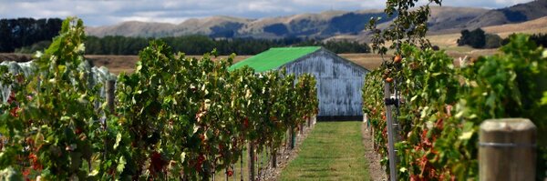 mikeonads Profile Banner