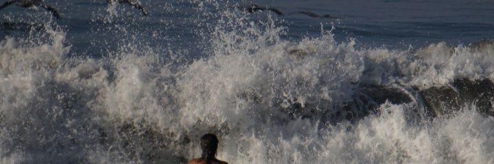 LizMGCh's profile banner image