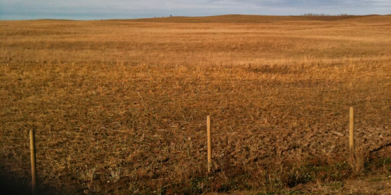 Rimbey High School banner