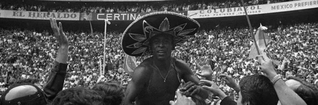 VINI THE BEST banner