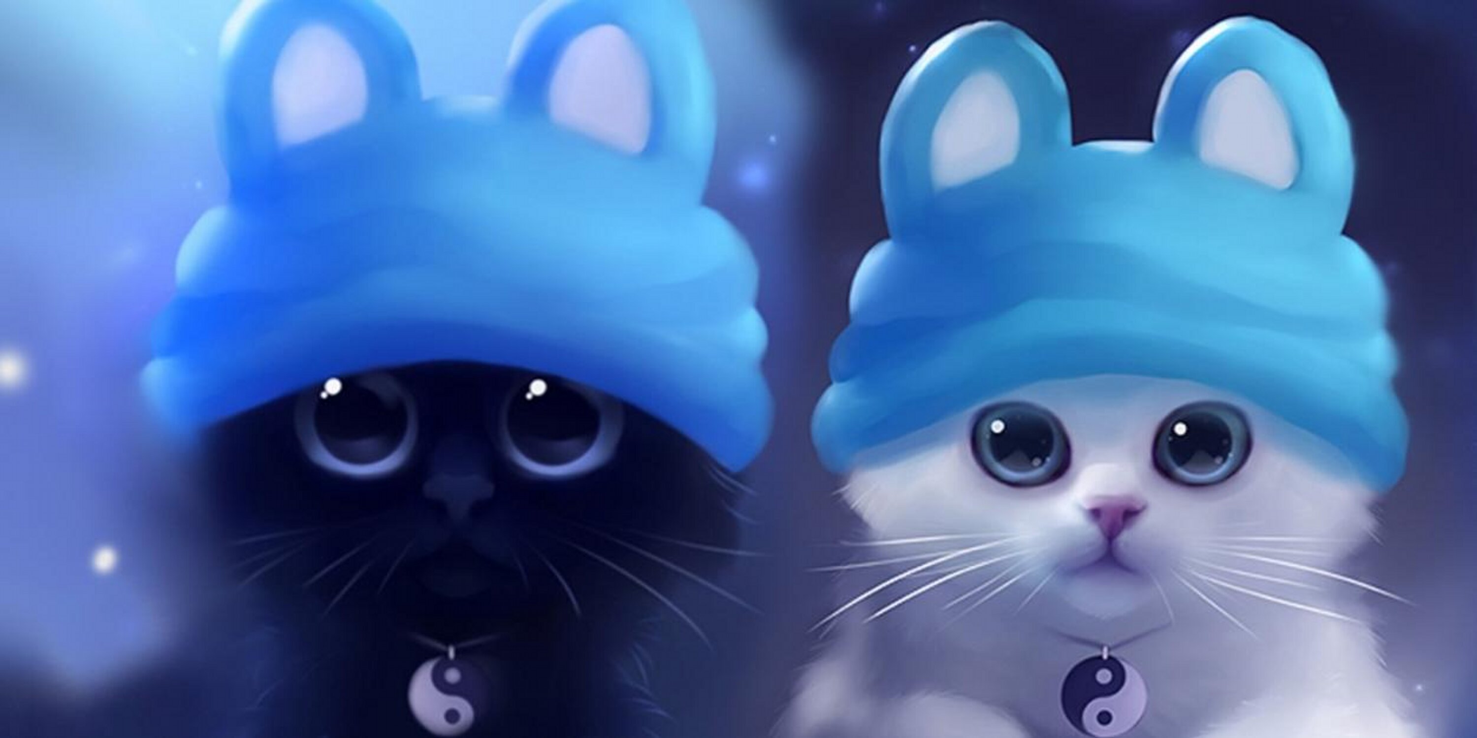 TedsDog's profile banner image