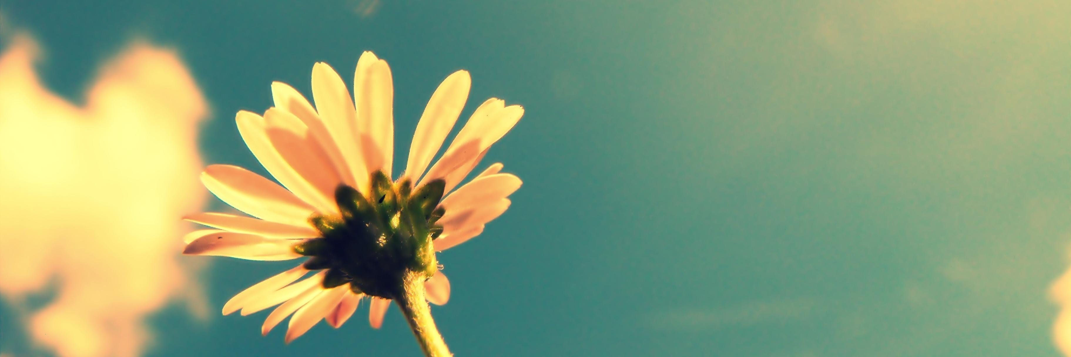 alya_7911's profile banner image