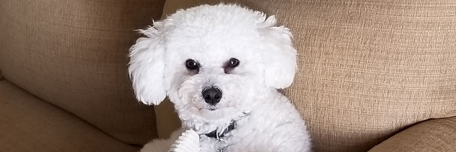 🇺🇲🌴 MindyKay🌴🇺🇲 banner