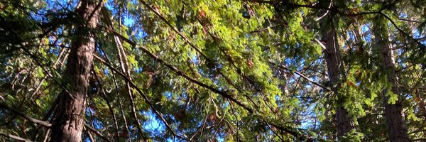 estark37 Profile Banner