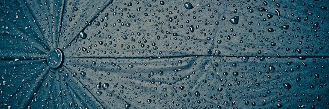 Michelle_Fntes's profile banner image
