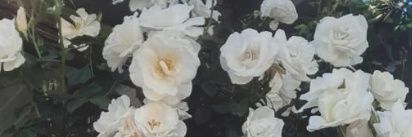 Florgarello_'s profile banner image