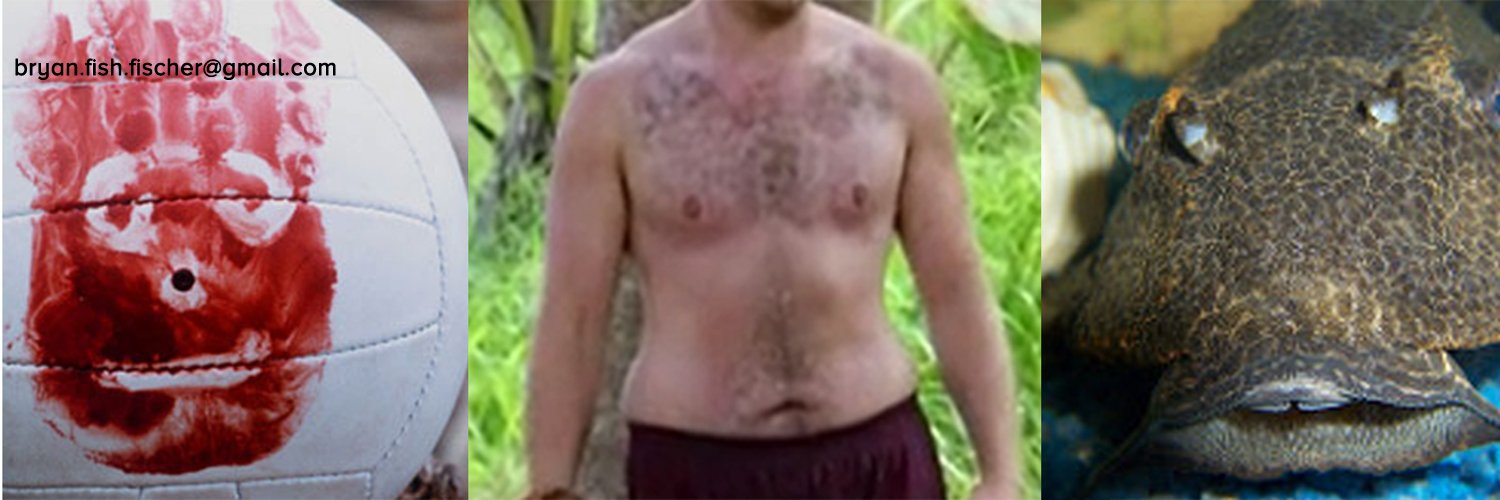 BF_TheFish's profile banner image