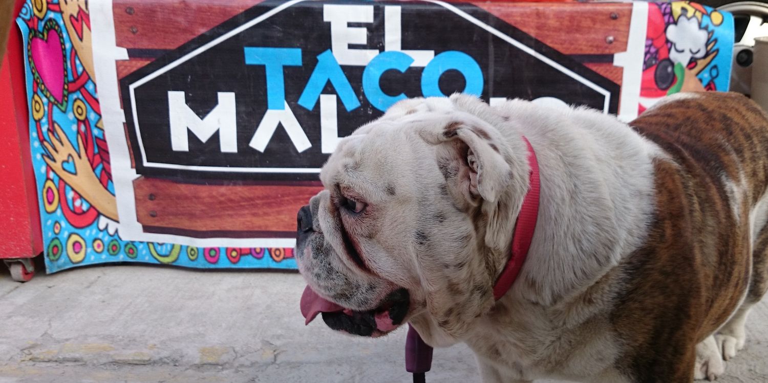 El Taco Malayo banner