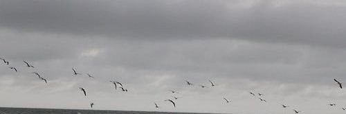staam_928's profile banner image