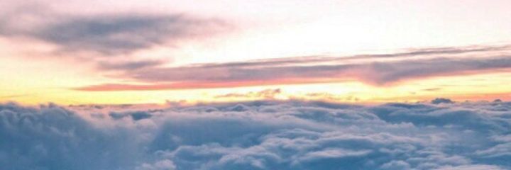 ticotemedina's profile banner image