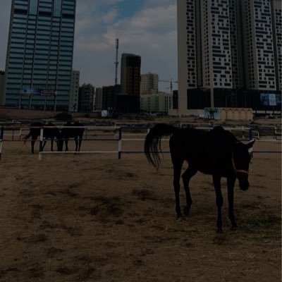 BiCuriousGirlSA's profile banner image