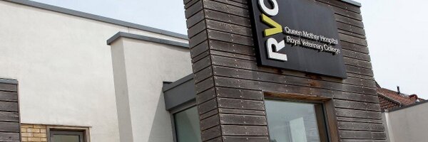 RVCVN Profile Banner