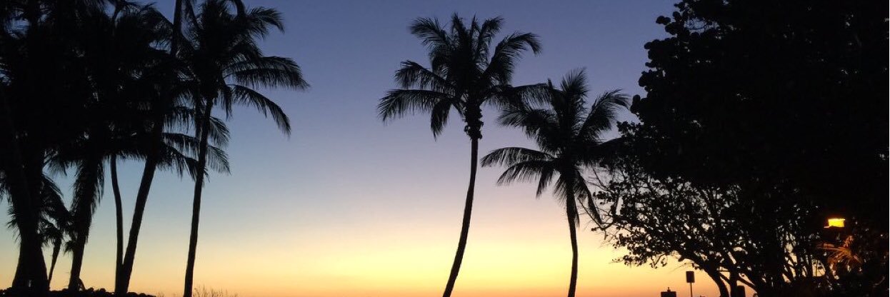 rosschas1's profile banner image