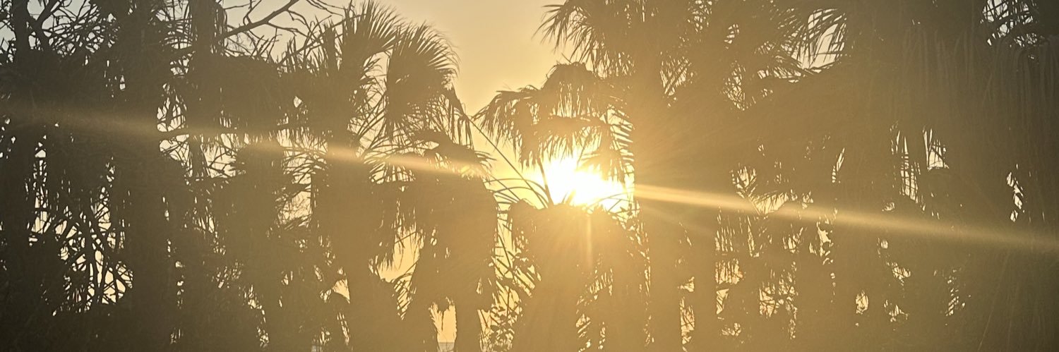 0xAdvil's profile banner image