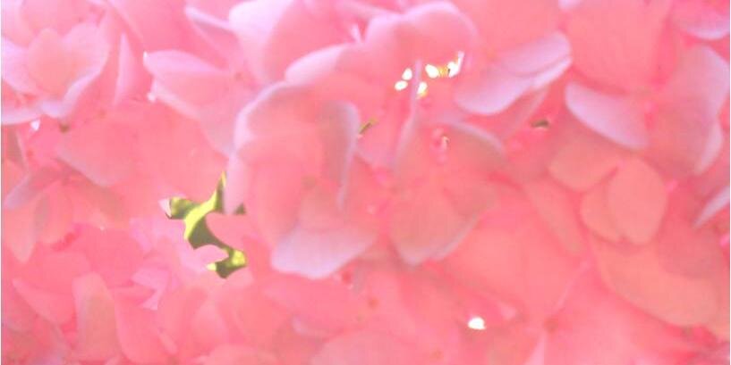 bernekt's profile banner image