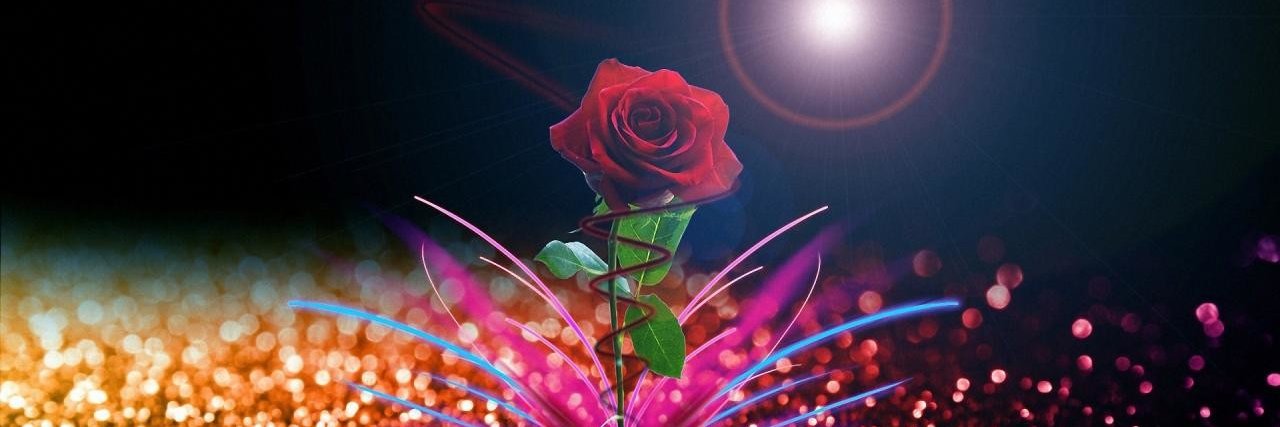 samya66's profile banner image