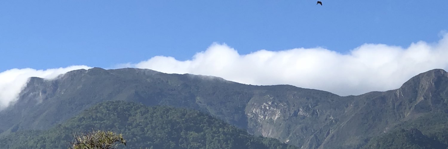 Ngtorrea's profile banner image