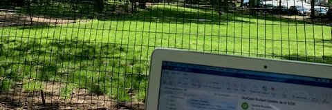 Meg D'Incecco banner