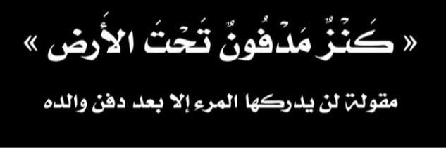 Rania Alaaeddine banner