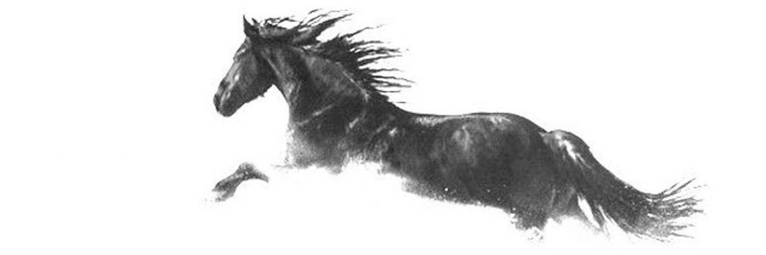 _sarron's profile banner image